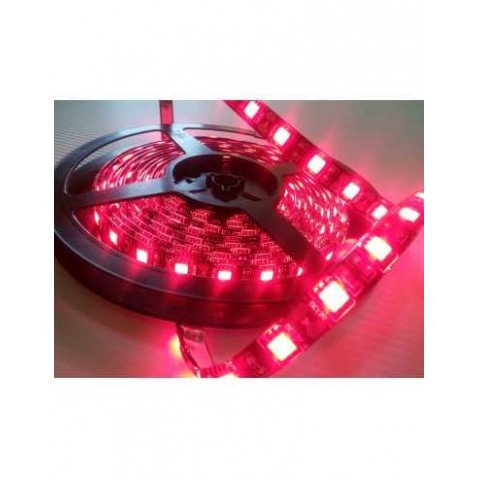 Strip Led 60 Led/mt  5050 rosso