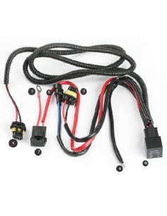 RELAY 100w PER KIT FULL LED con Resistenza 50w per Eliminare L'errore