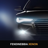 Fendinebbia Xenon FORD Fiesta MK8